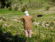 Ashayerilam.ir